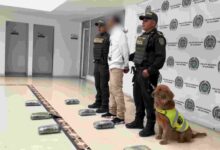 Prensa Policía Pasto