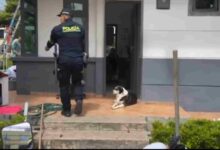 Prensa Policía Pasto