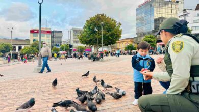 Turismo Seguro: Protección y Prevención en los Destinos de Colombia