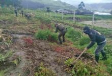 Policía Nacional y comunidad